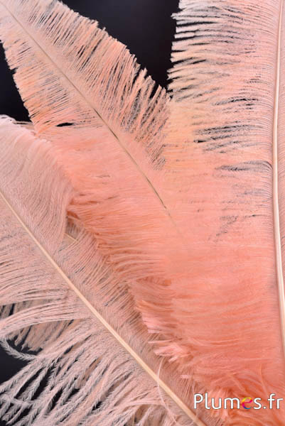 Struisvogel gesneden - 50-60 cm - zalmroze